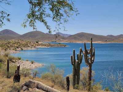 Auto Repair in Peoria, AZ