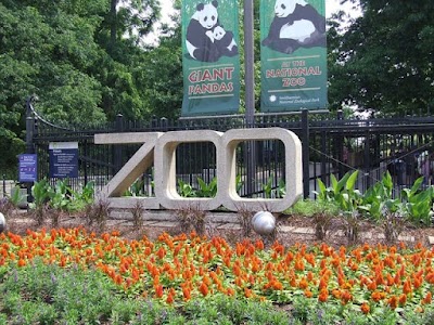 Dentist in Silver Spring, MD