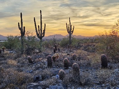 Auto Repair in Scottsdale, AZ