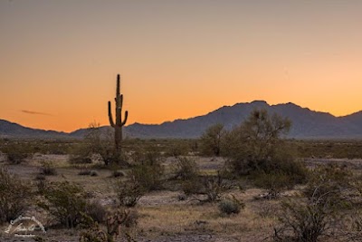 Auto Repair in Avondale, AZ