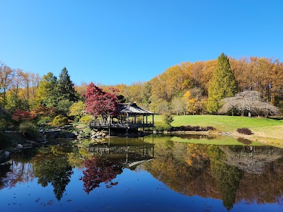 Dentist in Silver Spring, MD