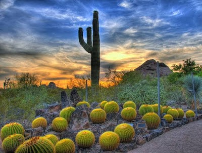 Auto Repair in El Mirage, AZ