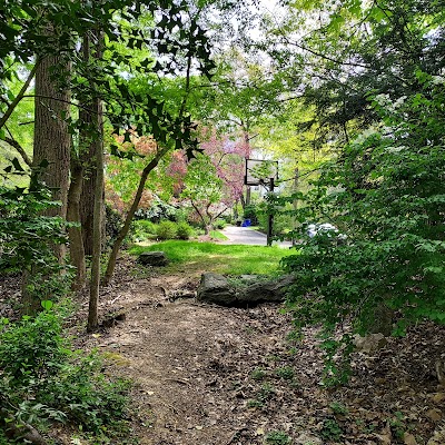 Dentist in Aspen Hill, MD