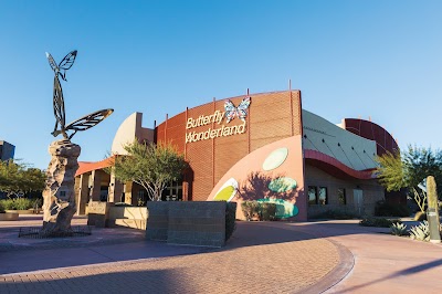 Auto Repair in Scottsdale, AZ