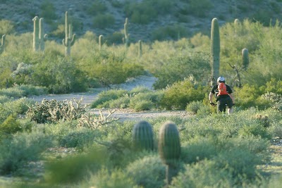 Auto Repair in Queen Creek, AZ