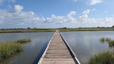 Things to do in 
