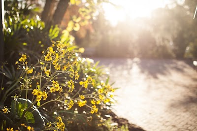 Things to do in 