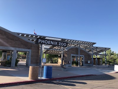 Auto Repair in Avondale, AZ
