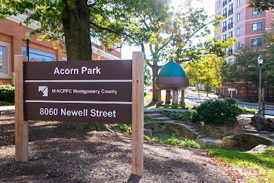 Dentist in Silver Spring, MD