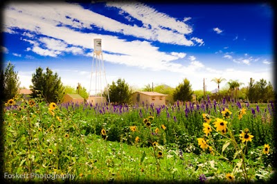 Auto Repair in Queen Creek, AZ