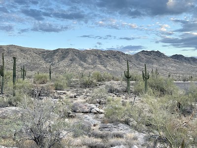 Auto Repair in Phoenix, AZ