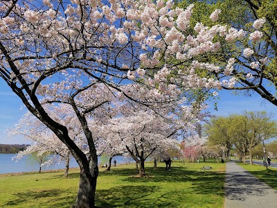 Dentist in Potomac, MD