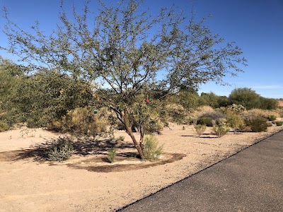Auto Repair in Queen Creek, AZ
