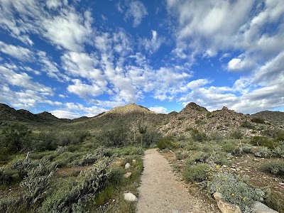 Auto Repair in Litchfield Park, AZ