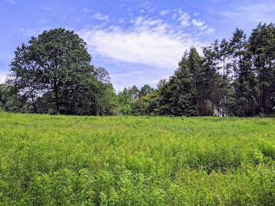 Dentist in Chevy Chase, MD